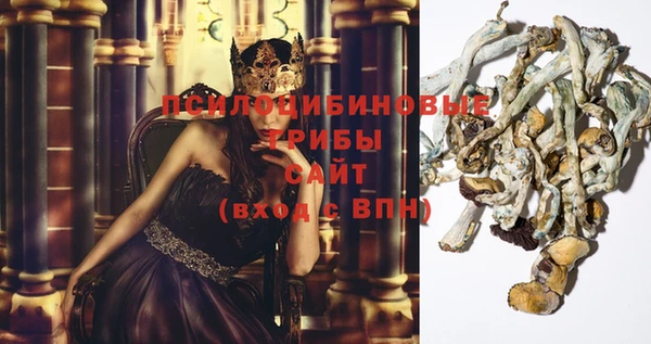 кокс Аркадак
