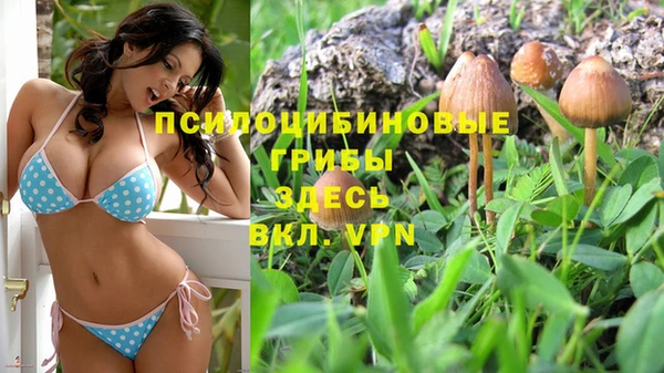 кокс Аркадак