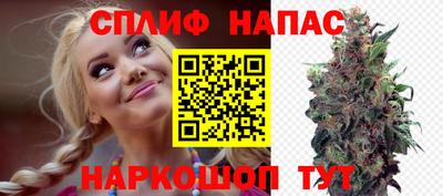 гашик Ливны