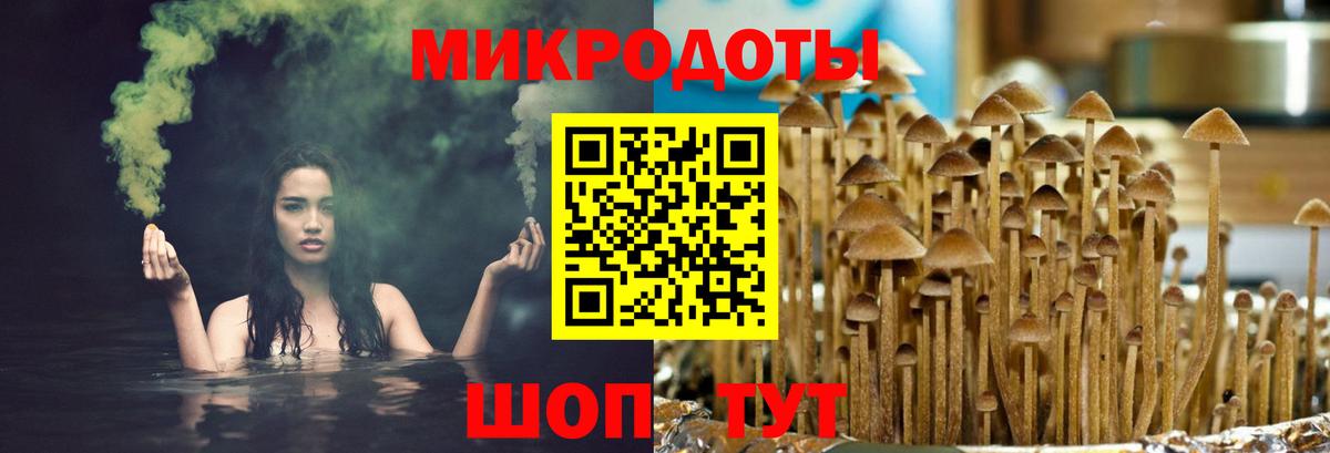 Псилоцибиновые грибы GOLDEN TEACHER Тобольск